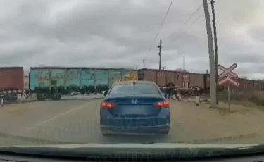 Қозғалатынын білмей қалды: Семейде әйел адамды жүк пойызы мыжып өтті