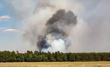 Бектенов: девять областей Казахстана не готовы к пожароопасному сезону