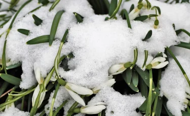 Снег и похолодание прогнозируют в Казахстане