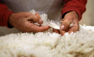 Енді тері мен жүн экспорттайтын шаруалар кедендік баж салығынан босатылады