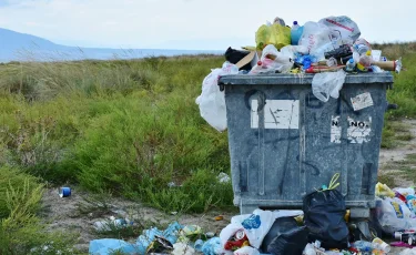 Ветераны, многодетные и пенсионеры в ВКО получат скидки на вывоз мусора