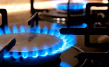 Жамбыл облысында үш бала газдан уланып қаза тапты