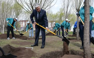 Президент «Жастар» саябағында ағаш екті
