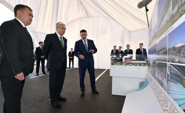 Астанада ағаштар цифрланып, QR-кодпен бақыланады