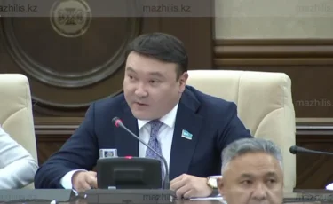 «Құқық қорғау органдары қайда қарап отыр?»: Депутат құзырлы министрліктердің жұмысына мін тақты