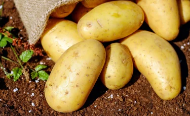 Картофель за год подорожал сразу на 78% в Казахстане