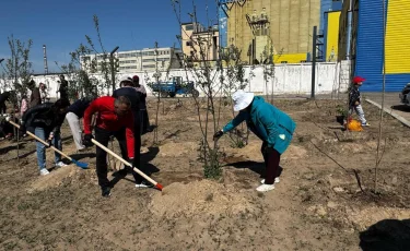 Көркейту-көгалдандыру жалғасуда: Алматы облысында көктемде 65 мың көшет отырғызылды