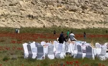 Маңғыстауда қызғалдақ даласында мереке ұйымдастырғандардың видеосы тарады