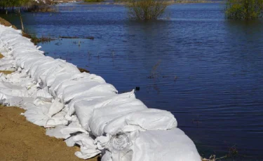 ШҚО-да ондаған үйдің ауласын су басты