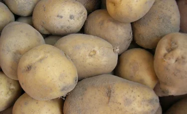 Надбавка в 106%: продавцы в Павлодаре накручивали цену на картофель