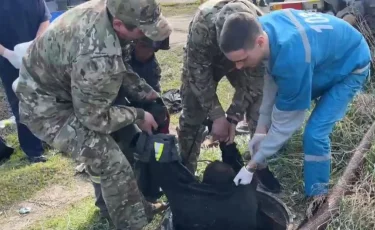 Коммунальщики чуть не задохнулись в септике в Костанайской области