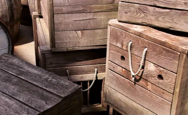 Коррупция на границе: костанайские инспекторы пропускали подкарантинные товары