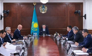 «Алыпсатарлыққа жол жоқ!»: Бектенов жеңілдетілген жанар-жағармай туралы