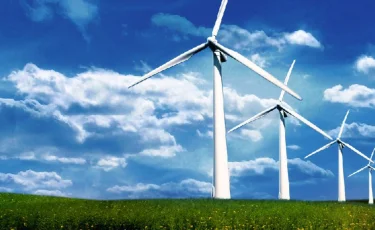 Желге ұшқан ақша: Астанада экс-депутат сотталды