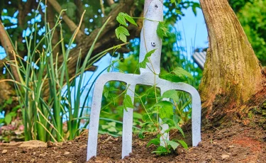 С вилами на полицейского набросился житель Алматинской области