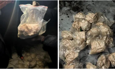 ҰҚК екі халықаралық есірткі арнасын жойды