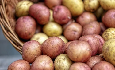 Цены на картошку и сахар бьют рекорды: Какие меры предпринимают власти