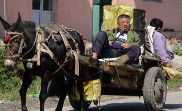 Демографический спад в городах Казахстана: кто теряет больше всего жителей?
