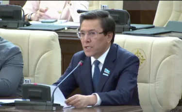 Ауылға барған дәрігерлер біржолғы төлемдерін ала алмай отыр – депутат