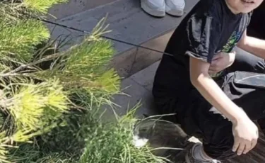 Шымкентте жасөспірім садақ оғынан жарақат алды