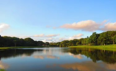 Деньги мимо природы? Глава резервации «Бокейорда» задержан за хищения