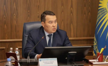 Мемлекеттік аудит: Әлихан Смайылов жауаптыларды шілдеге дейін жазалауды талап етті