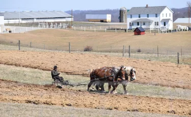 Директор агрохолдинга обманул банк на миллиарды и кинул акмолинских пайщиков