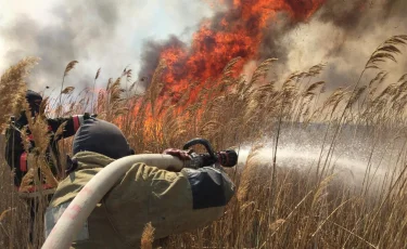 В Атырауской области горит природный резерват