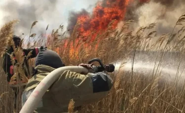 Атырау облысындағы «Ақ Жайық» резерватында қамыс өртеніп жатыр