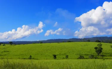 Абай облысында 42 мың гектар жер мемлекетке қайтарылды