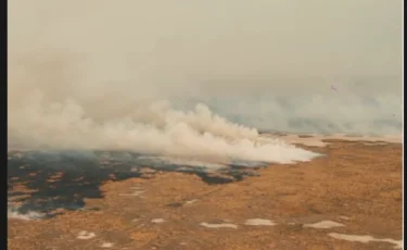 Атырауда табиғи резерват аумағындағы өртті сөндіруге 100 тонна су кеткен