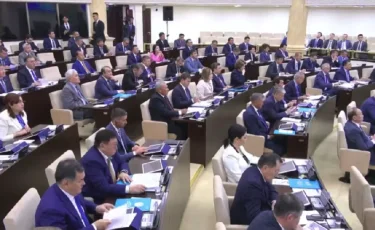 Интернет жоқ, дерек қате, құрылыс тоқтап тұр: Сенат бюджеттің олқылықтарын әшкереледі