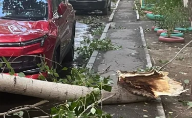 В Павлодарской области объявят режим ЧС: пострадавшим от урагана выплатят компенсации