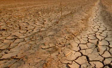 Засуха угрожает аграрным регионам Казахстана