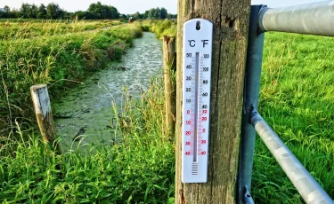 Экстремальная жара накроет Казахстан: температура поднимется до +47 градусов