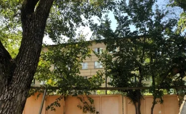 Бағанашылдағы балалар үйінің Қонаевқа көшірілуі: 2,5 гектар жер кімге берілмек?