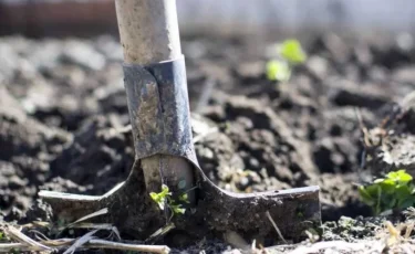 Ақмола облысының тұрғыны ұлын күрекпен ұрып, саусағын сындырған