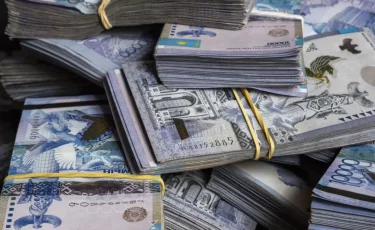 Ерлі-зайыпты халықтан баласының «еміне» деп жинаған ақшаны өз қажеттіліктеріне жұмсаған