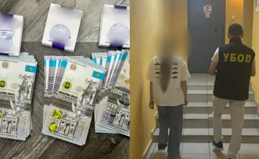 Торговля органами: иностранка хотела продать почку в Павлодаре