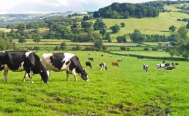 Елімізде ауыл шаруашылығы санағы басталды