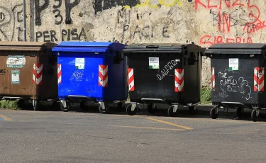 В Шымкенте тело пропавшей 26-летней девушки нашли в мусорном баке