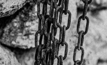 В Жамбылской области раскрыли страшный случай рабства над детьми