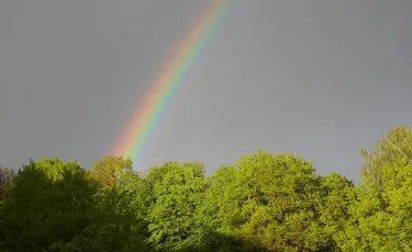 Жара сохраняется на юге, на остальной территории Казахстана ожидаются дожди с грозами