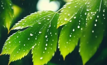 Қазгидромет бүгінгі ауа райын жариялады