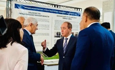 «Auyl fest. Қой шаруашылығы – 2025» фестивалі өтті