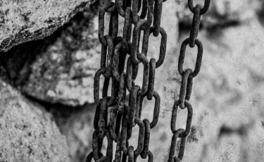 Детей держали в рабстве в Жамбылской области: дело направили в прокуратуру