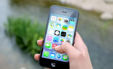 Блогеры зарабатывают на обмане: сенатор предлагает тюремные меры