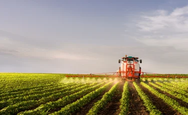 Сельское хозяйство Алматинской области демонстрирует устойчивый рост