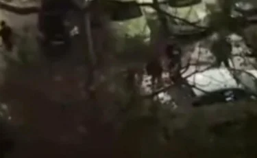 Алматыда үш жігіт қызды күштеп алып қашпақ болды