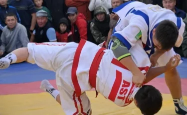 Жарыста мойын омыртқасын сындырып алған жас балуан қайтыс болды